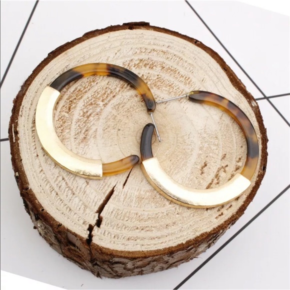 Acrylic and Gold Bar Hoop Earrings (assorted) - Picture 5 of 8